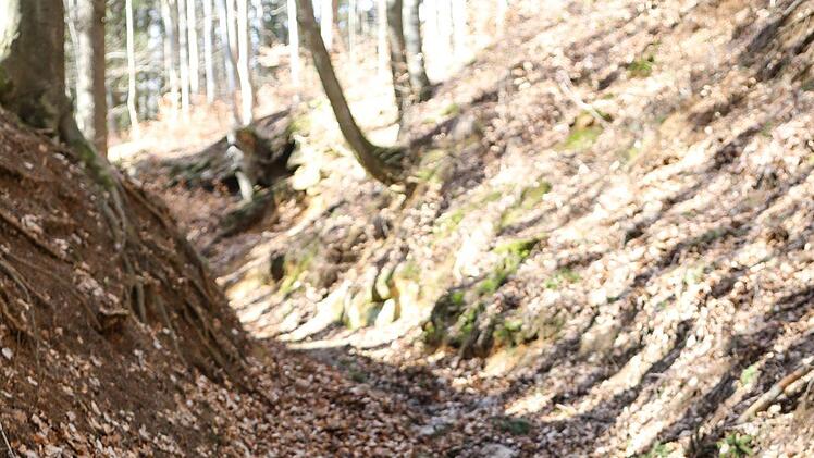 Unterwegs auf unserer Dünenwanderung mit Andi Schettler. Foto: Barbara Herbst