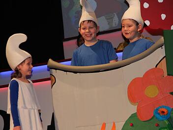 Die Schlümpfe im SuppentopfVeronika Schadeck