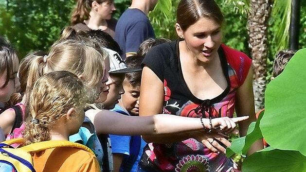 Im Botanischen Garten Erlangen gibt es viel zu entdecken. Foto: Botanischer Garten der FAU