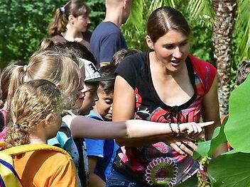 Im Botanischen Garten Erlangen gibt es viel zu entdecken. Foto: Botanischer Garten der FAU