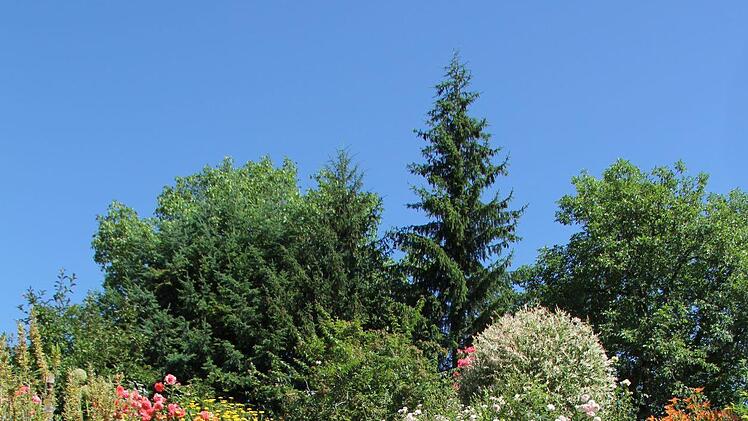 Faulhaber Foto: Alexandra Kemnitzer