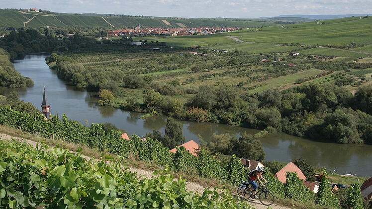 Radfahren Weinberge Würzburg
