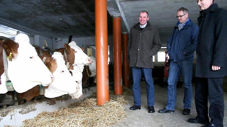 Kreisobmann Alois Kraus, Amtstierarzt Uwe Knickel und BBV-Geschäftsführer Rudolf Bender schauen, wie es den Kühen geht. Foto: Sabine Paulus