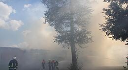 Vorschaubild