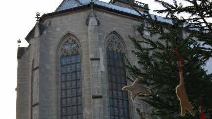 Foto: Björn Hein