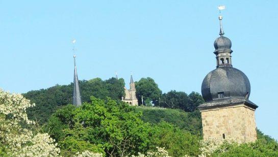 Die Akazien (Rubinen) am Zeiler Seerangen sind ein Anziehungspunkt f&uuml;r die Bienen. Foto: Ludwig Leistentritt