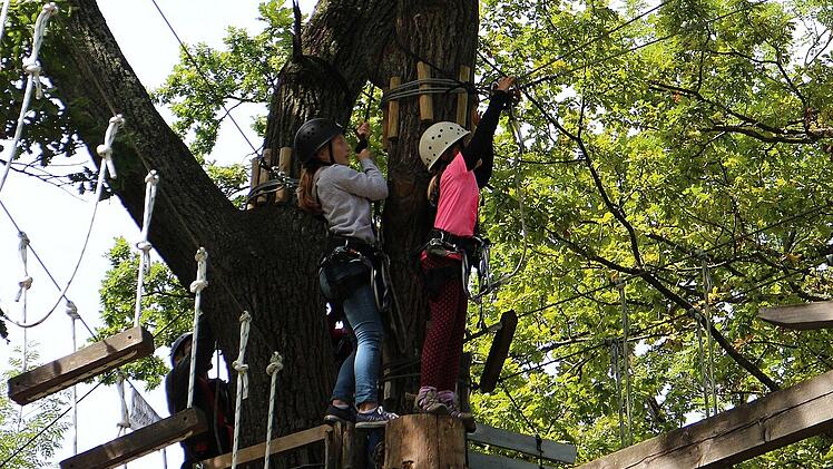 Im Kletterwald Veilbronn erwarten dich zehn Parcours in verschiedenen Schwierigkeitsstufen und Höhen.