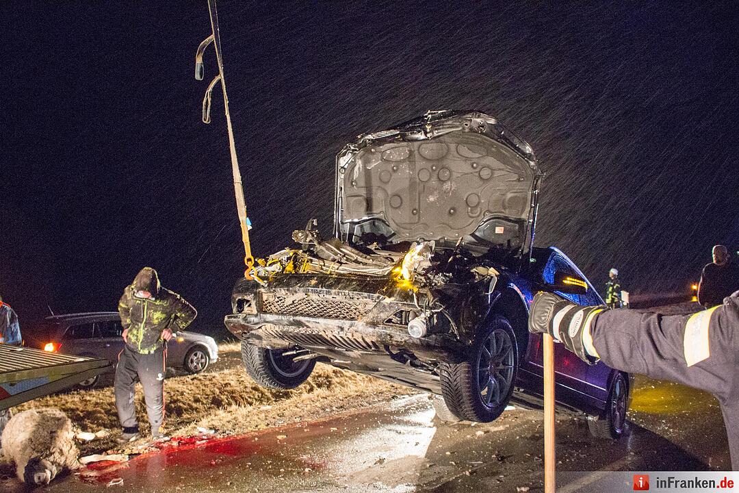 Über 30 Schafe tot: Autos fahren in ausgerissene Herde