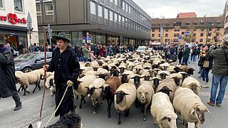 Hunderte Schafe ziehen durch Nürnberg - Naturspektakel in Bildern