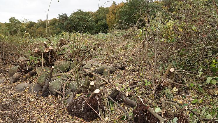 Nach Fund einer Kinderleiche