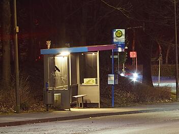 Marktleuthen: Pl&ouml;tzlicher Angriff an Bushaltestelle - Zeugen gesucht