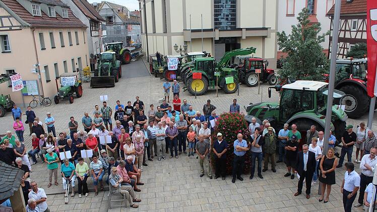 Protestkundgebung auf dem Marktplatz in Stadtlauringen.  Foto: p.