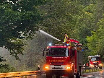 Feuerwehr G&ouml;&szlig;weinstein mit ungew&ouml;hnlichem Einsatz: "Natur ruft um Hilfe"