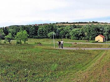 Das Baugebiet "Maßbacher Weg" in Poppenlauer . Foto: Dieter Britz