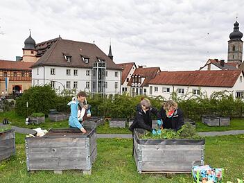 Ulrike Eichler (mit Sohn Rafael), Marie Scholler und Ursula Huber (von links) im Forchheimer Stadtgarten.  Fotos: Ronald Rinklef