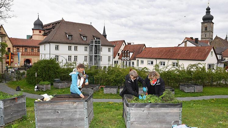 Ulrike Eichler (mit Sohn Rafael), Marie Scholler und Ursula Huber (von links) im Forchheimer Stadtgarten.  Fotos: Ronald Rinklef
