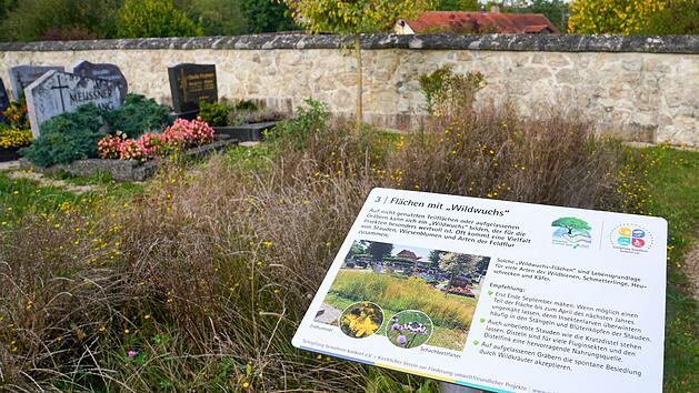 Die Lehrtafeln auf dem Wonseeser Friedhof erkl&auml;ren Lebensr&auml;ume, die man auf Friedh&ouml;fen findet.