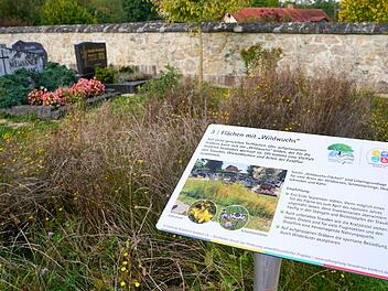 Die Lehrtafeln auf dem Wonseeser Friedhof erkl&auml;ren Lebensr&auml;ume, die man auf Friedh&ouml;fen findet.