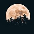 Mond, Vollmond