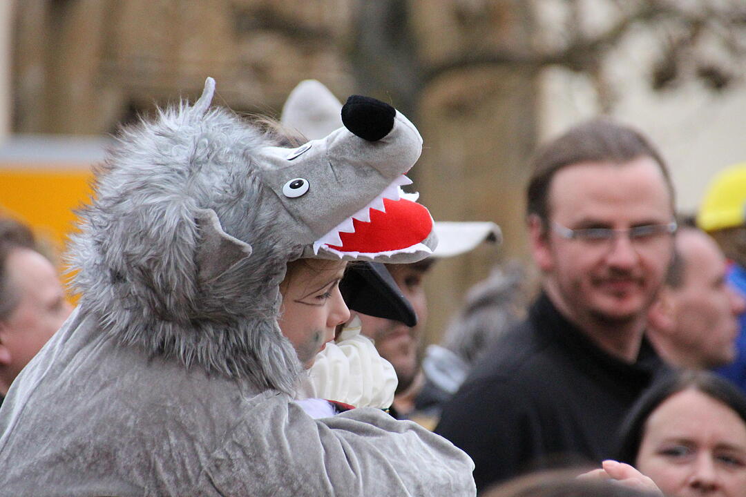 Landkreisfaschingsumzug