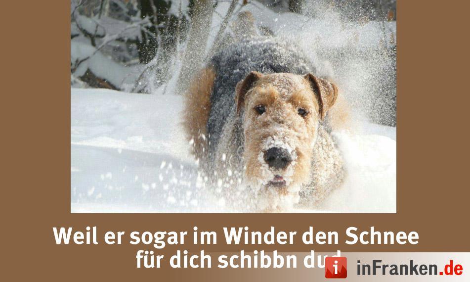 Foto: Evelin Penzler