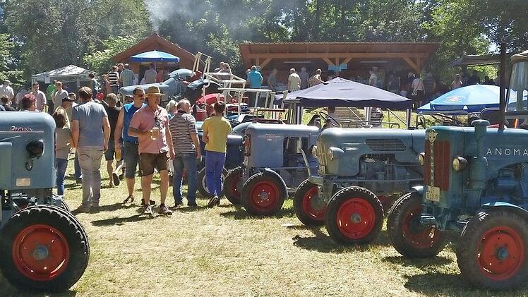 Eine Augenweide. Das Eicherfest in Krumbach findet am Sonntag, 10. Juni, statt. Foto: Lisa Faber