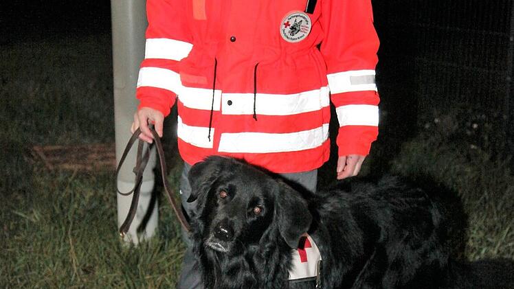 Zahlreiche Rettungshunde waren an der Suche beteiligt. Unser Foto zeigt Brigitte Lutz von der Rettungshundestaffel Haßberge mit ihrem Vierbeiner Leonas.  Fotos: Michael Will / BRK