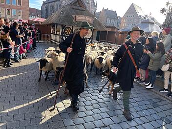 Hunderte Schafe ziehen durch Nürnberg