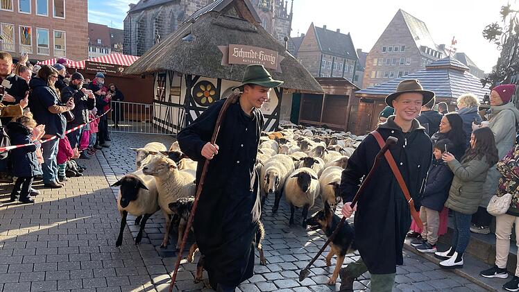 Hunderte Schafe ziehen durch Nürnberg