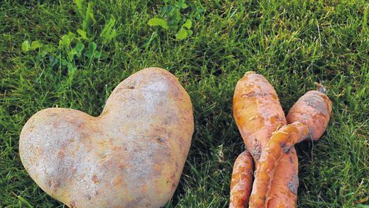 Herzallerliebstes Gemüse