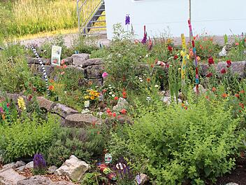Im Garten-Club der Grundschule Igensdorf d&uuml;rfen die Sch&uuml;ler mitentscheiden, was gepflanzt wird. Daf&uuml;r gab es ein Preisgeld und eine Vogeltr&auml;nke. Foto: privat