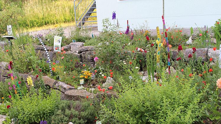 Im Garten-Club der Grundschule Igensdorf d&uuml;rfen die Sch&uuml;ler mitentscheiden, was gepflanzt wird. Daf&uuml;r gab es ein Preisgeld und eine Vogeltr&auml;nke. Foto: privat
