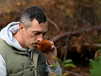 Mit einem Pilz-Influencer in den Pilzen