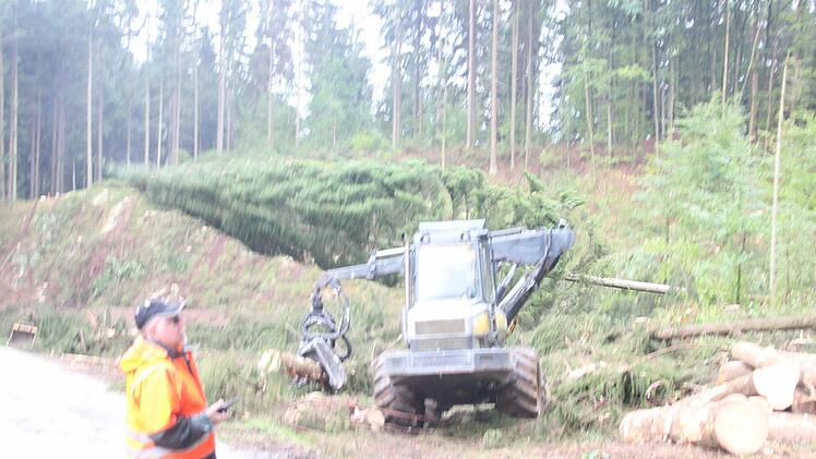 Mit einem Harvester werden die Bäume zu Fixlängen aufgearbeitet. Waldarbeiter fällen Bäume, die der Harvester nicht erreichen kann. Die Szene sieht dramatischer aus als sie tatsächlich ist, denn durch den Einsatz eines Teleobjektivs wird die Perspektive verzerrt. Der fallende Baum ist weiter von der Maschine entfernt als es den Anschein hat.  Foto: Friedwald Schedel