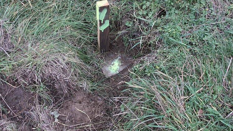 Die Grenzsteine wurden markiert.  Foto: Friedwald Schedel