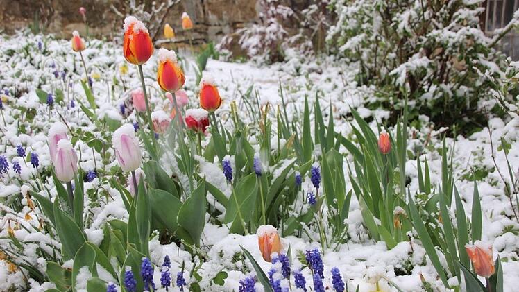 Schnee an Ostern in Bad Kissingen Foto: Heike Beudert