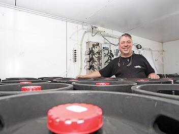 Herr der Fässer: 1080 Hektoliter hat Kaiserhof-Braumeister Thomas Kaiser gebraut. Bei vier Grad warten nun zahlreiche 50-Liter-Fässer auf ihren Einsatz. Falls nach dem Freischießen noch Bier übrig bleiben sollte, geht es in den Flaschenverkauf. Foto: Marian Hamacher