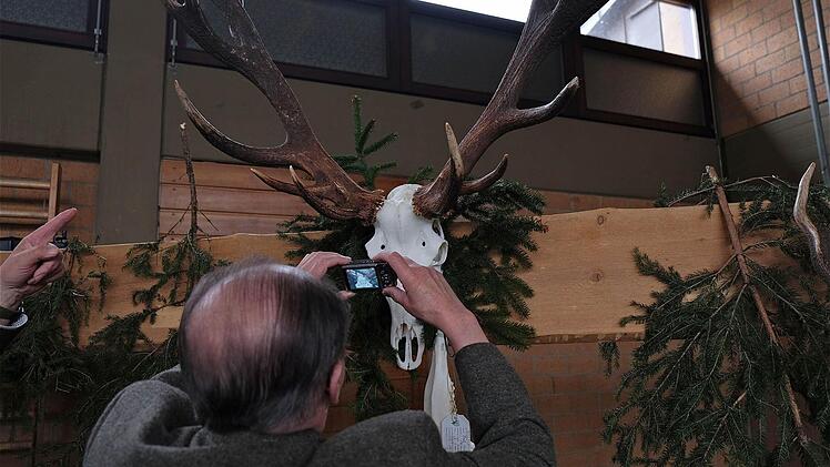 Hegeschau in Thulba  Foto: Schaar