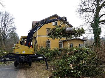 Auf dem Gelände des künftigen Senioren-Begegnungszentrums mit Tagespflegestätte der Awo mussten jetzt zwei große Ahornbäume gefällt werden. Die Standfestigkeit der bis weit über das Dach des Bahnhofs hinausragenden Stämme war nicht mehr gewährleistet.Dieter