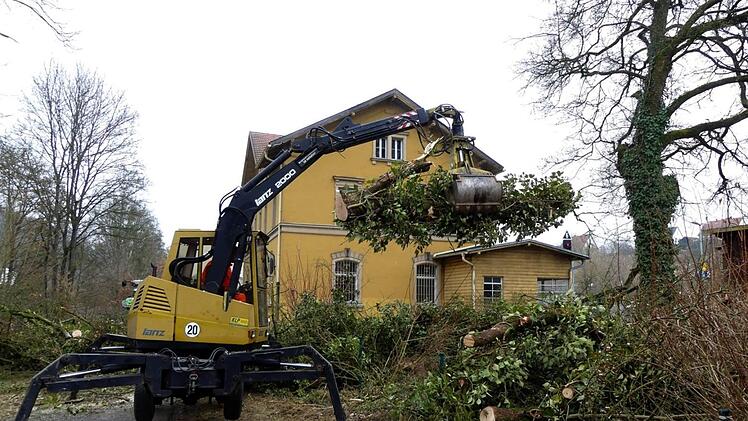 Auf dem Gelände des künftigen Senioren-Begegnungszentrums mit Tagespflegestätte der Awo mussten jetzt zwei große Ahornbäume gefällt werden. Die Standfestigkeit der bis weit über das Dach des Bahnhofs hinausragenden Stämme war nicht mehr gewährleistet.Dieter