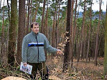 Joachim Dahmer ist schon seit mehr als zwölf Jahren für den Gemeindewald zuständig. Hier steht er in der Abteilung Rainschlag. Dort wurden in den vergangenen Wochen 600 Festmeter eingeschlagen, auch um Platz für nachwachsenden Buchen zu schaffen. Foto: Kathrin Kupka-Hahn