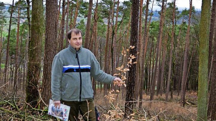 Joachim Dahmer ist schon seit mehr als zwölf Jahren für den Gemeindewald zuständig. Hier steht er in der Abteilung Rainschlag. Dort wurden in den vergangenen Wochen 600 Festmeter eingeschlagen, auch um Platz für nachwachsenden Buchen zu schaffen. Foto: Kathrin Kupka-Hahn