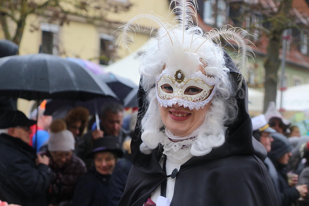 Kreisfaschingsumzug 2020