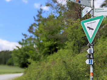 Im Landkreis gibt es 16 Naturschutzgebiete und 17 FFH-Gebiete. Doch was bedeutet das und wozu ist das gut?