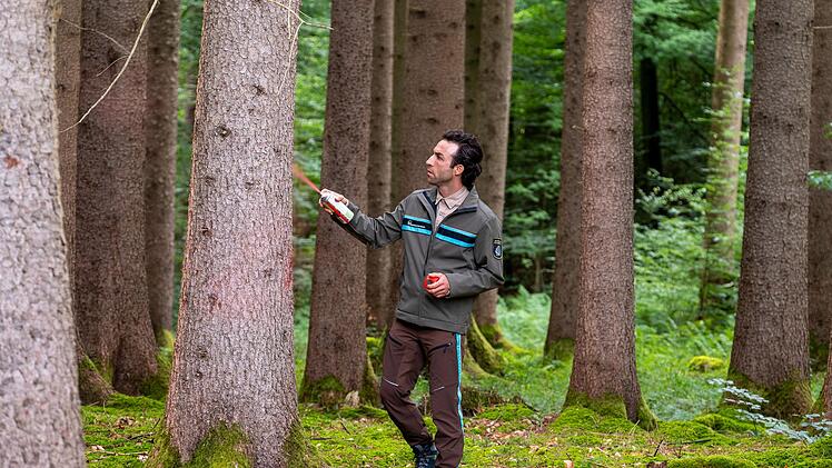 Yascha (Linus Sch&uuml;tz) f&uuml;hlt sich im Wald wohl.