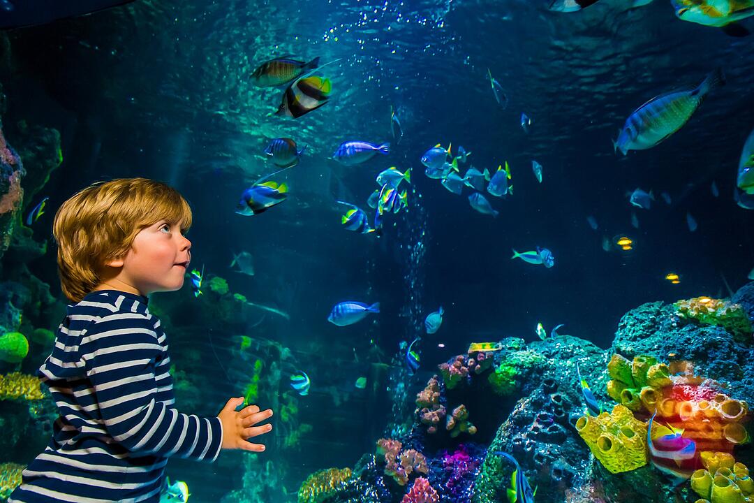 Sea Life München