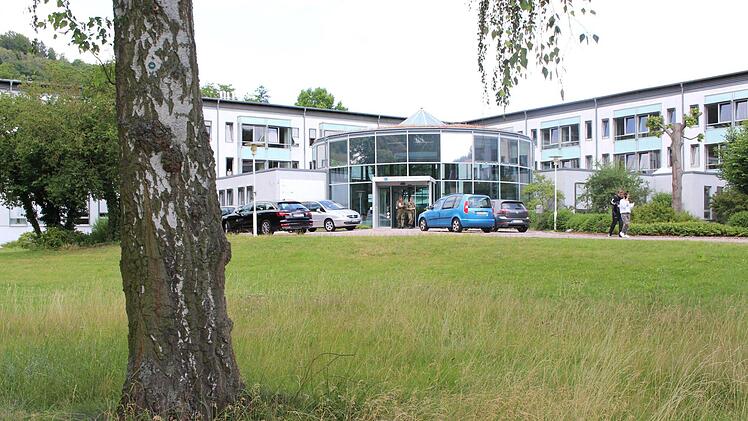 Zwei Birken und ein Ahorn müssen für das Medzentrum gefällt werden. Foto: Julia Raab