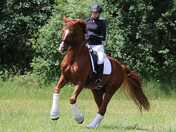 Kerstin Daigfuß auf Samba de Roseo    Foto: privat