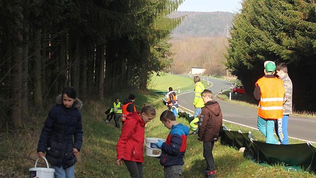 Hier werden die Kröten Zaun eingesammelt Foto: Christa Schröder