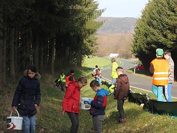 Hier werden die Kr&ouml;ten Zaun eingesammelt Foto: Christa Schr&ouml;der